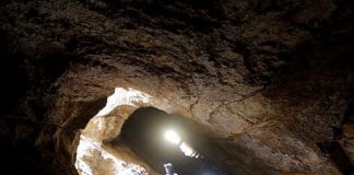 Patrice Motsepe’s Harmony Gold mine records eighth fatality of 2026 Growth of artisanal and small-scale miners key to transformation