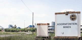 SCA rules BRPs should seize ex-Gupta companies