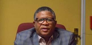 Fikile Mbalula Dubai