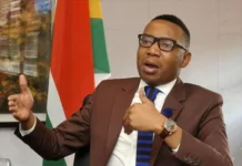 Mduduzi Manana defends his NEC re-election