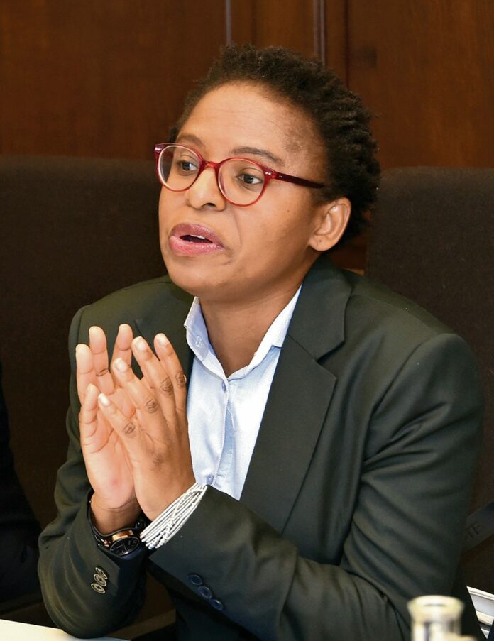 DA uses VAT to fight land act, not for the poor - Ntshavheni