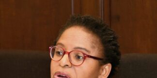DA uses VAT to fight land act, not for the poor - Ntshavheni
