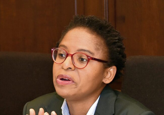 DA uses VAT to fight land act, not for the poor - Ntshavheni