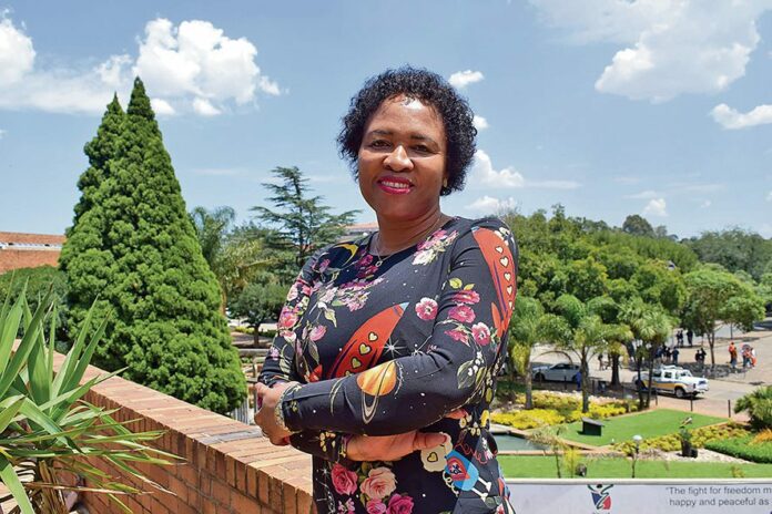 Ekurhuleni audit report