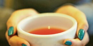 Rooibos exports hit record high