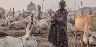 The people of South Sudan are looking forward to their country's first democratic national government election in December 2026.