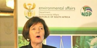Minister laments ‘fiasco’ at parliament’s RAF session
