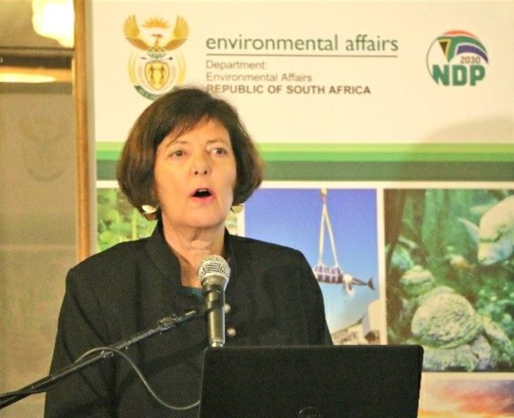 Minister laments ‘fiasco’ at parliament’s RAF session