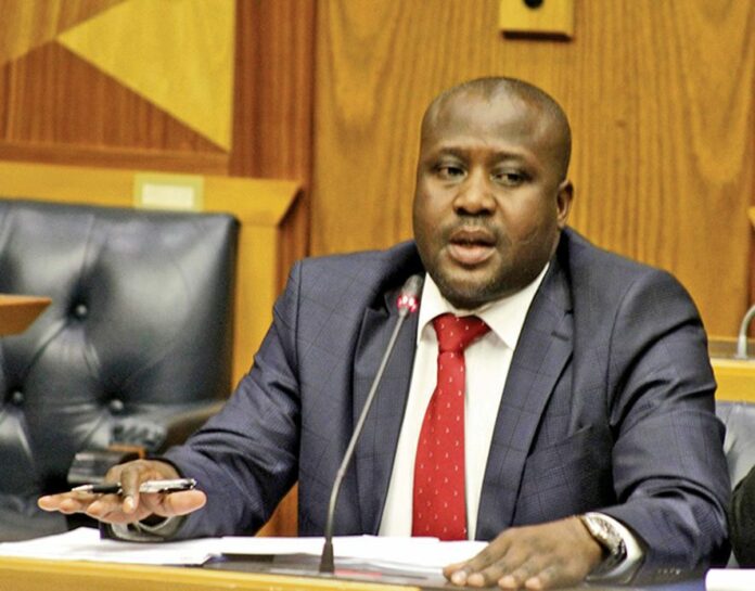 Bongani Bongo appears in court