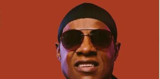 Stevie Wonder citizenship