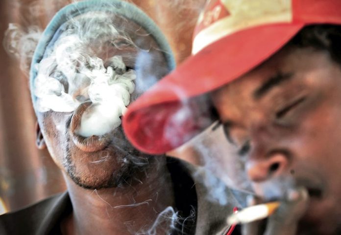 SouthSA urged to differentiate smoke-free products in Tobacco BillAfrica’s youth