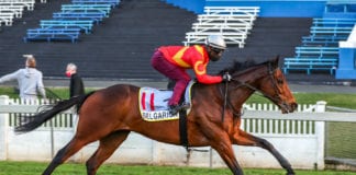 'Gambling board must pay for case against horse-betting giant'