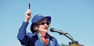 Helen Zille GNU remarks