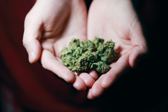 marijuana. Photo by Sharon McCutcheon from Pexels