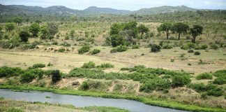 Kruger National Park