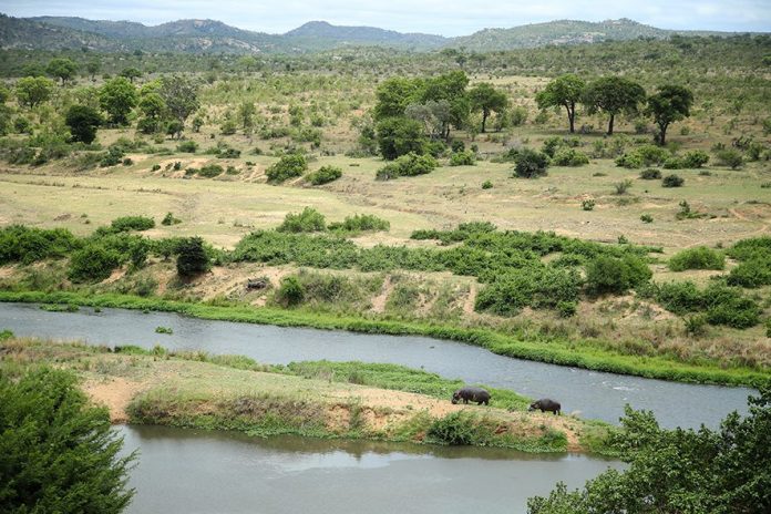 Kruger National Park