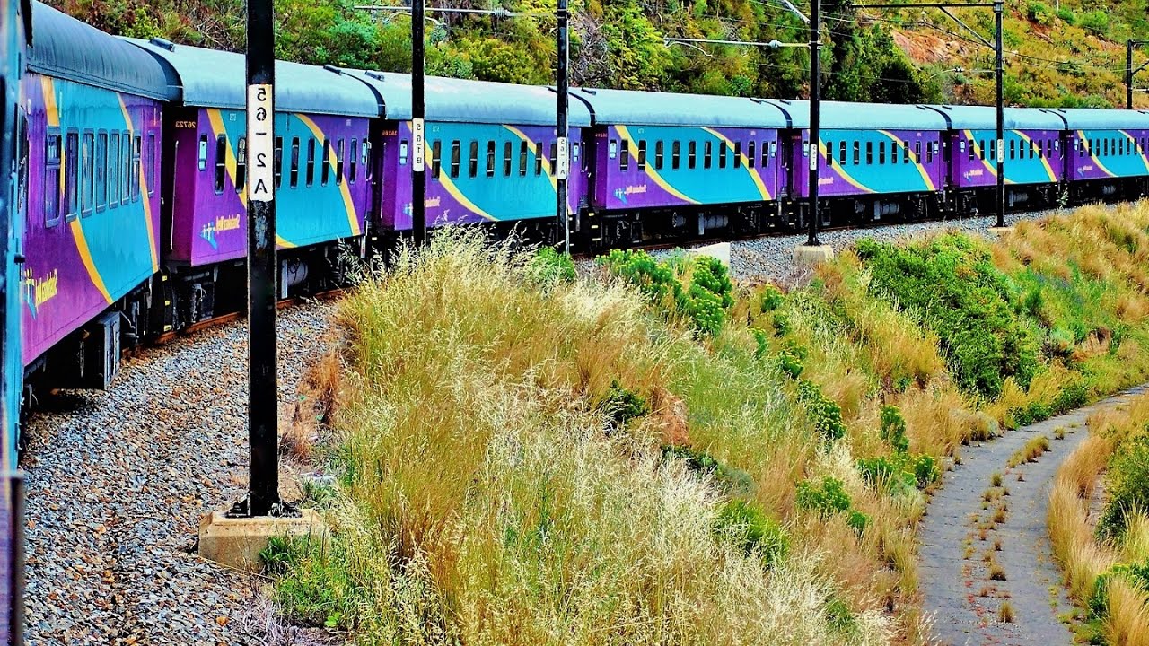 Prasa
