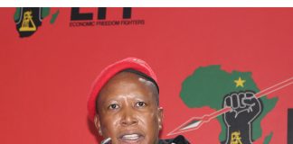 Julius Malema rand manipulation