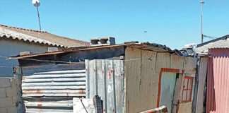Cape shack murder