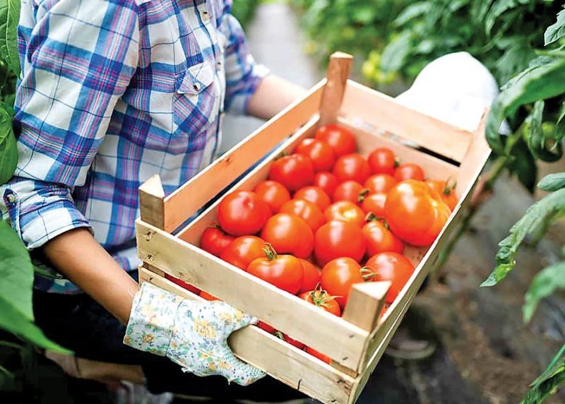 DA criticises Mpumalanga provincial government