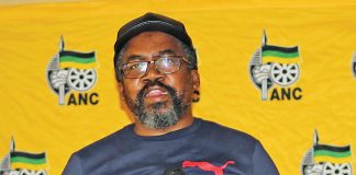 Ngcukayitobi beats Mbalula in court