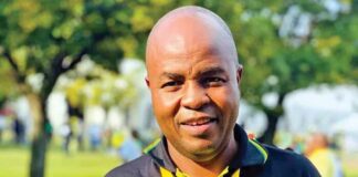 Mpumalanga premier Mandla Ndlovu