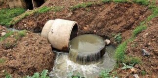 Mpumalanga municipality pleads guilty pumping sewage into river