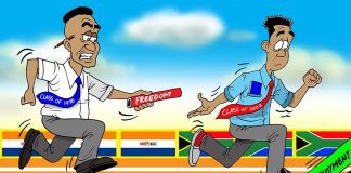 2024 elections