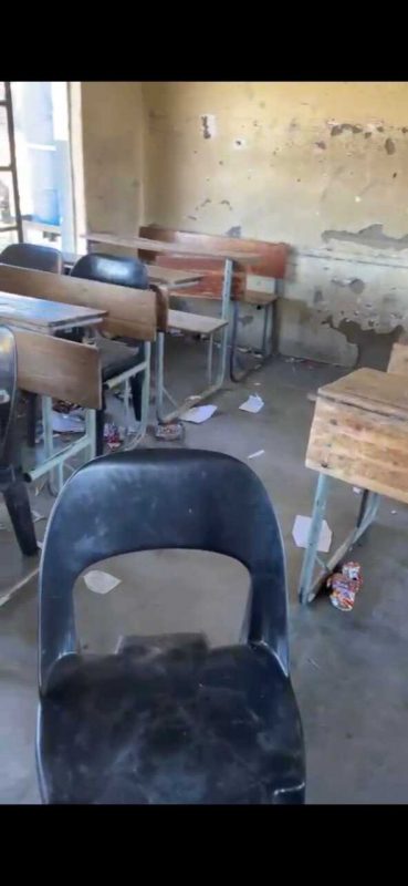 Mbandleni Primary School pupils face dangers of snakes, crumbling classrooms