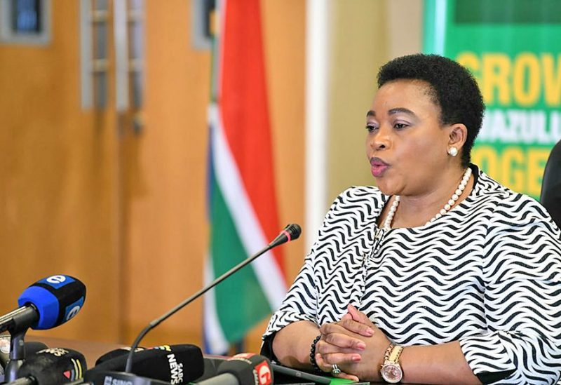 Ex-premier Nomusa Dube-Ncube sidelined from KZN legislature