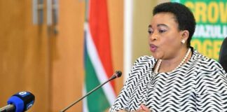 Ex-premier Nomusa Dube-Ncube sidelined from KZN legislature