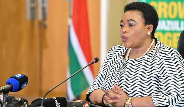 Ex-premier Nomusa Dube-Ncube sidelined from KZN legislature