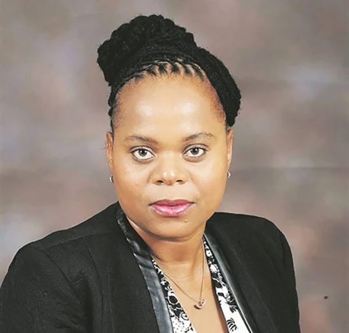 Limpopo investment conference