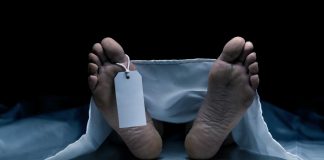 DNA results positively match missing daughter