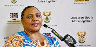 Didiza to initiate committee