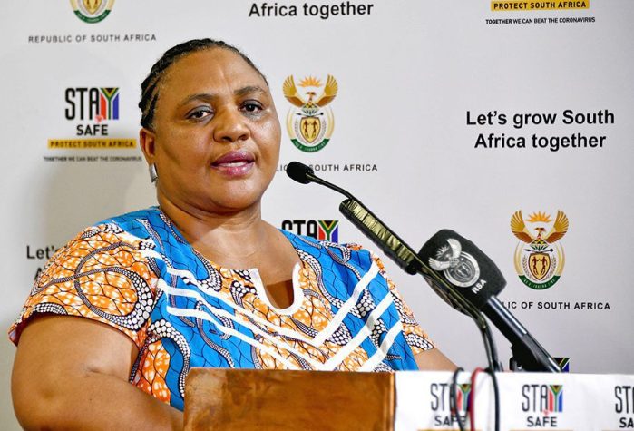 Didiza to initiate committee