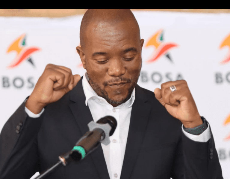 Maimane blames state-enforced blackouts for child’s death