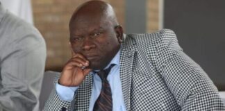 Ex-Free State mayor fingered in public protector report