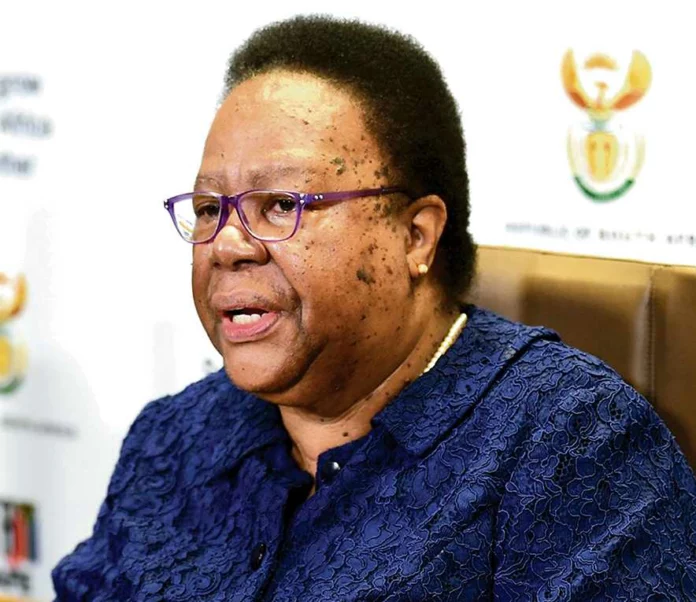 Ex-Minister Naledi Pandor takes up new academic role at UP