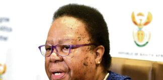 Ex-Minister Naledi Pandor takes up new academic role at UP