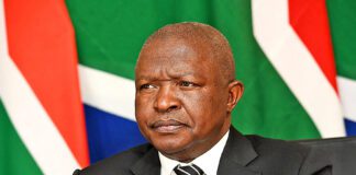 DD Mabuza high court ruling