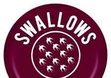 Swallows now rocked by late coaching staff salaries