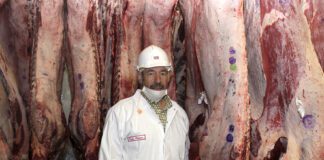Reflections on 2025 and outlook for cattle and beef industry