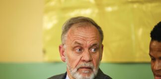 Carl Niehaus criticises Meyer's appointment
