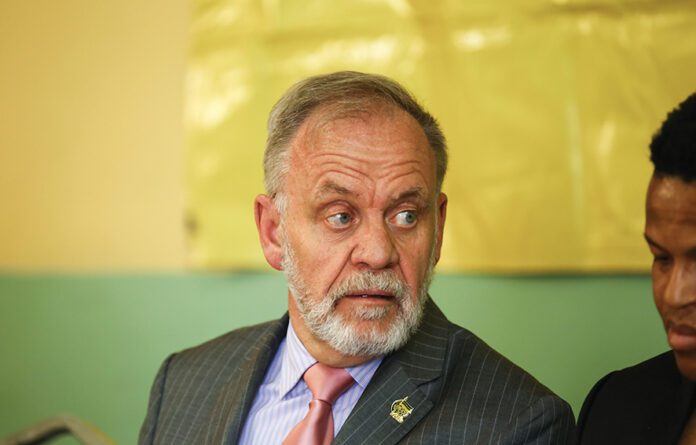 Carl Niehaus criticises Meyer's appointment