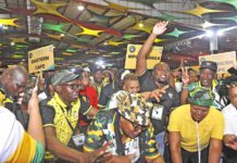 ANC announce 80 new NEC members Struggle for freedom