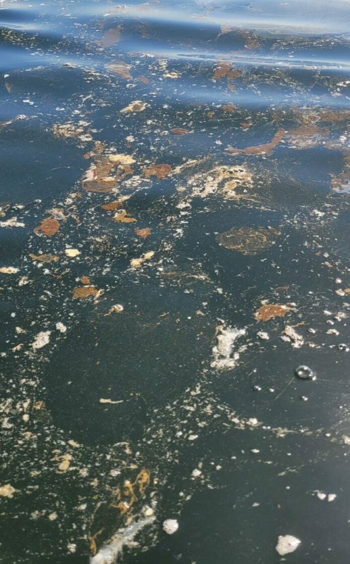 eThekwini sewage spill case
