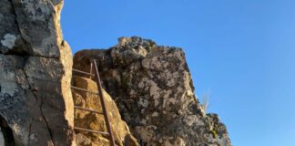 Hiker falls and dies at Lion's Head