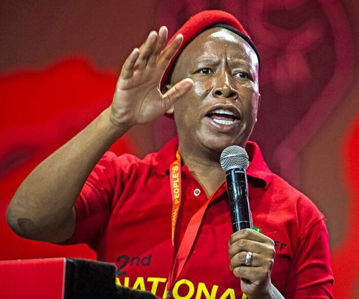 Malema budget reaction