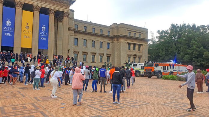 Wits